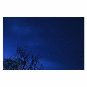 国产欧美视频在线观看
