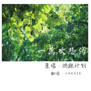 国产欧美视频在线观看
