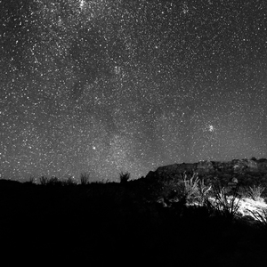 国产欧美视频在线观看
